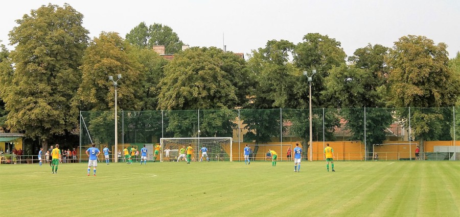 14125055_1075968249105175_8947869969194565913_o